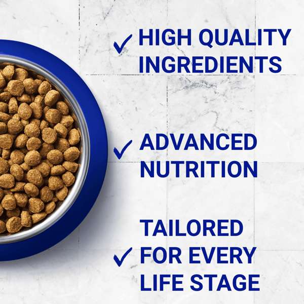 Purina One Adult Cat Food Salmon & Whole Grains