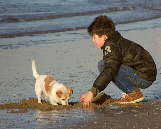 7 Ways To Improve Your Bond With Your Dog