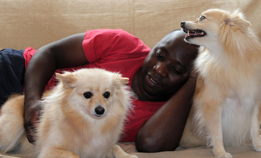 What Kind Of Dog Lover Are You