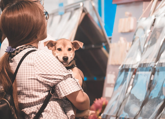 Why People Abandon Their Dogs