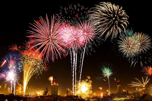 Dogs And Fireworks