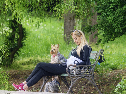 What Type Of Personality Does Your Dog Have