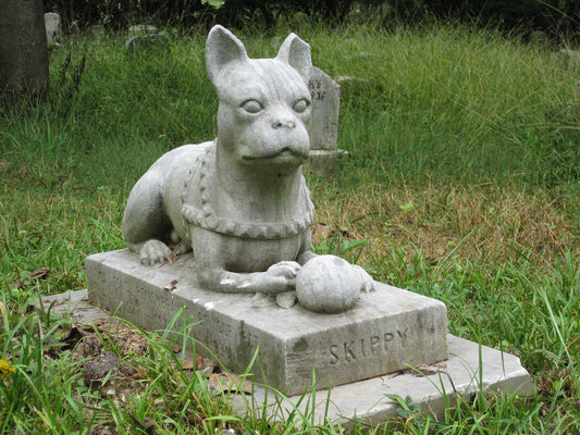 Dealing With The Grief Of Your Dog Dying