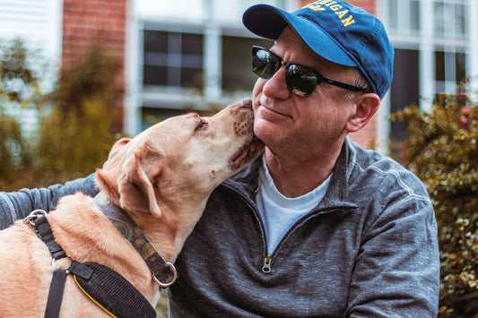 Why Do Dogs Like To Lick Us