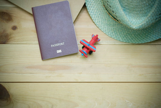A Guide To Pet Passports