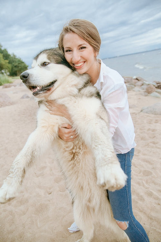A Guide To Staying Safe Around Dogs