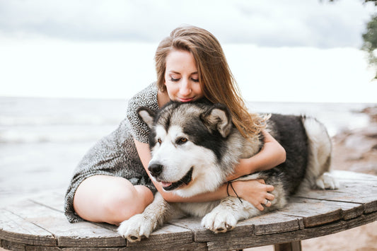 A Guide For First Time Dog Owners