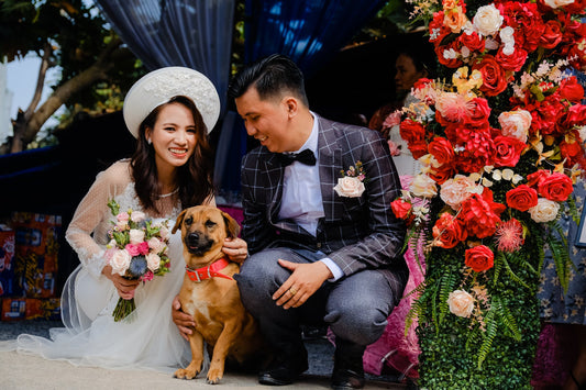 Dogs At Weddings