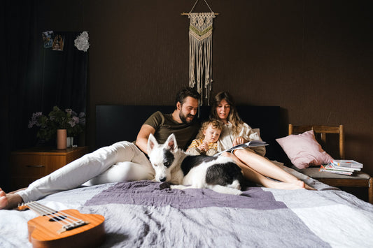 Sleeping With Dogs In Your Bed Should You