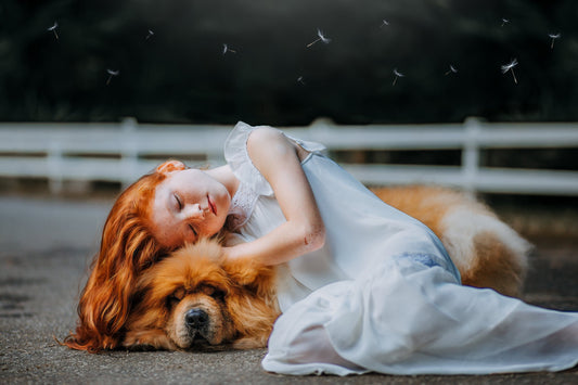 Dog Dreams Sleepwalking