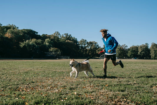 Family Activities To Do With Your Dog