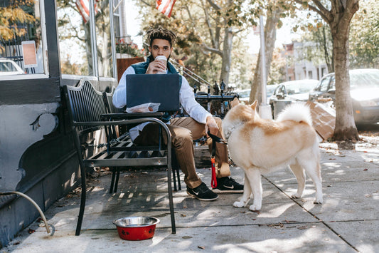 Make Your Dog Work For Their Food