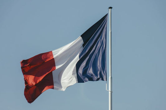 French Dog Breeds