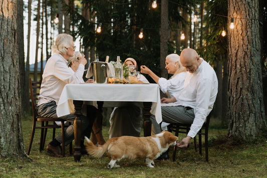 Dog Friendly Holidays