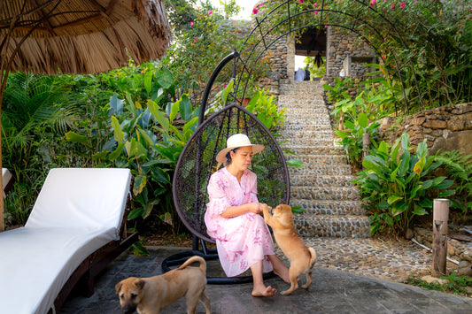 How To Ensure Your Garden Is Dog Friendly