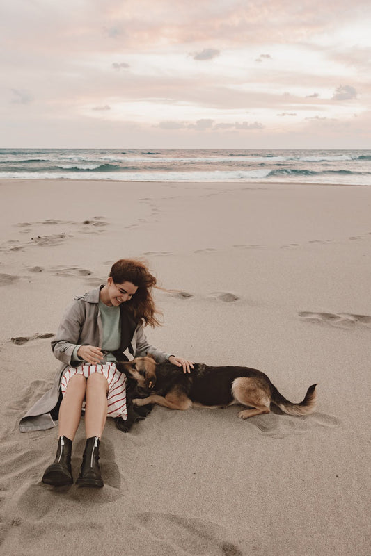 A Guide To Taking Your Dog To The Beach