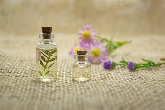 Essential Oils Safe For Dogs