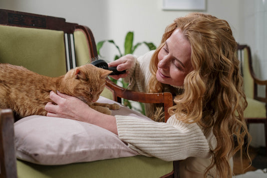 A Guide To Cat Grooming