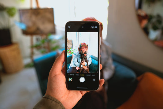 8 Ways To Get A Good Photo Of Your Dog