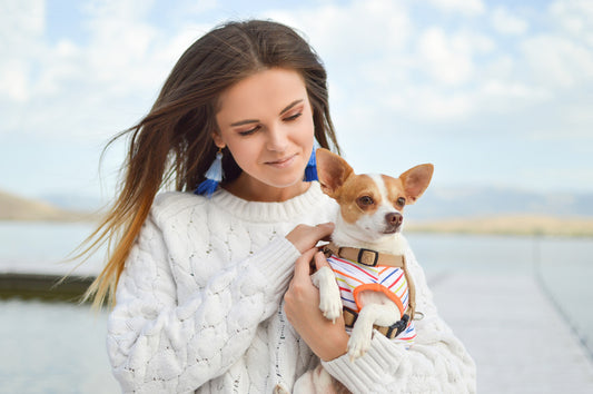 How Much Does A Dog Cost A Month
