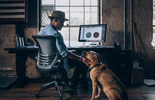 The Benefits Of Having An Office Dog