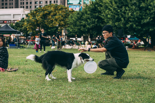 How To Stop A Dog From Barking