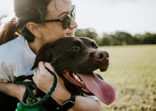 What Do Therapy Dogs Do