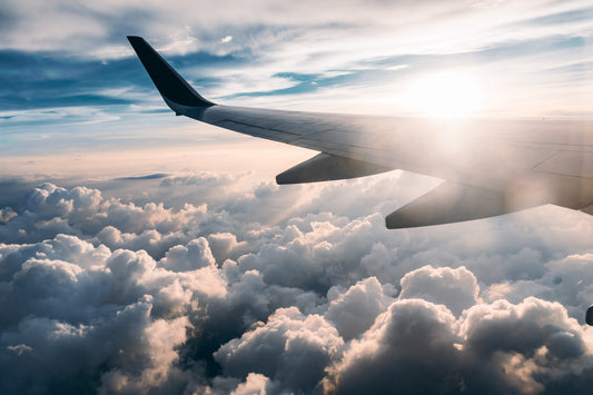Can I Carry Pets In The Aircraft Cabin