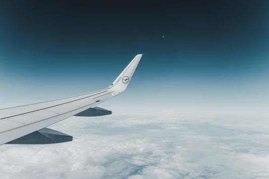 Is Your Pet Safe Travelling By Air