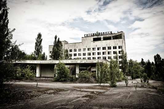 The Dog Community Of Chernobyl