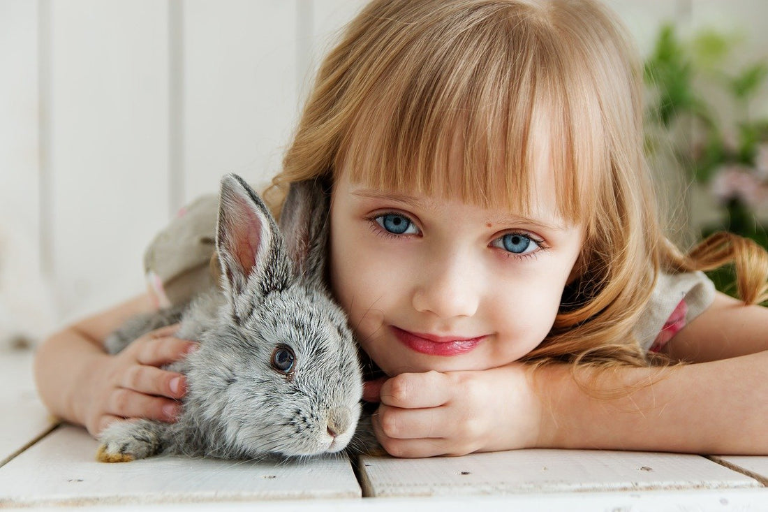 Caring For Domestic Baby Rabbits