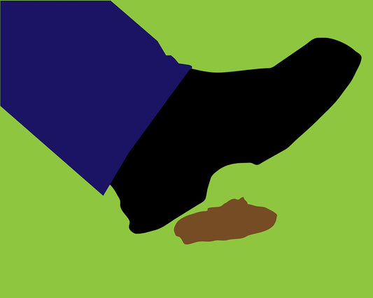 Dog Fouling Law