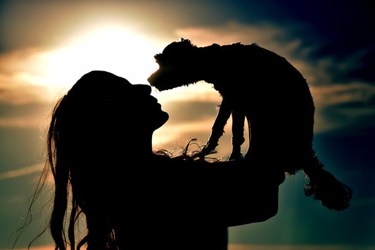 You Can Soon Become A Dog Whisperer