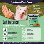 Natural VetCare Gut Balance Chews 50 Pack