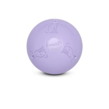 A light purple Coach dog toy ball with embossed dog icons and the Coach logo, shown on a clean white background.
