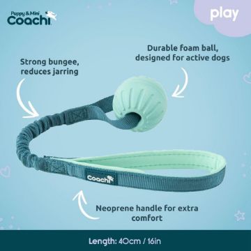 Coachi Puppy & Mini Tuggi Ball
