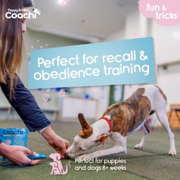 Coachi Puppy & Mini Whizzclick