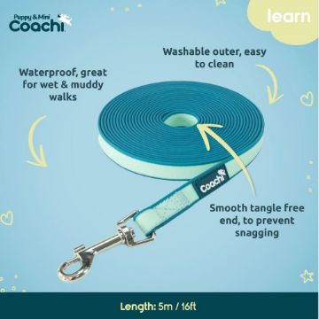 Coachi Puppy & Mini Waterproof Training Line - Teal 2.5m