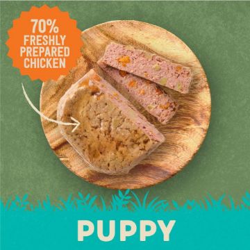 Harringtons Wet Puppy Food Trays Multi Pack 8 x 380g