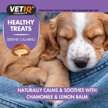Dog lying on a person's lap with VetiQ Healthy Treats for serene calming, featuring chamomile and lemon balm.