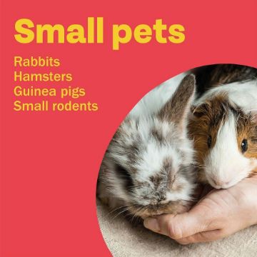 Bob Martin Clear Small Animal Spot-On Flea Tick & Mite Treatment  - 4week, 1 treatment