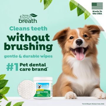 Fresh Breath pet dental care wipes advertisement featuring a smiling brown and white dog, a jar of wipes, and a round wipe sample on a light teal background with green leaf graphics.