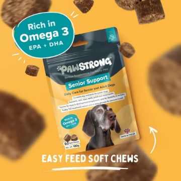 A package of PAWSTRONG Senior Support dog chew treats on a bright yellow background with floating soft chews and text highlighting Omega 3 EPA + DHA and easy feed soft chews.
