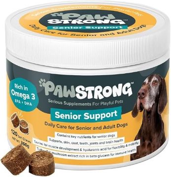 A white plastic tub of Paw Strong Senior Support dog supplement with a white lid, featuring a label with a brown dog photo, product name, and several brown chew pieces shown in front on a white background.