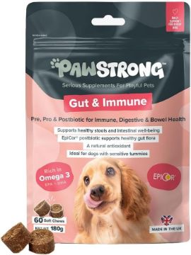 Paw Strong Gut & Immune supplement pouch for dogs, featuring a pink and dark gray package with a golden retriever photo and brown kibble pieces shown at the bottom left.