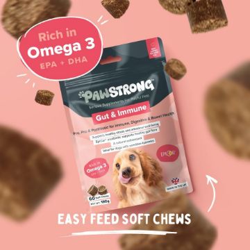 A bag of PAWSTRONG Gut & Immune dog treats for dogs, featuring a golden retriever on the packaging, set against a pink background with floating soft chews and promotional text.