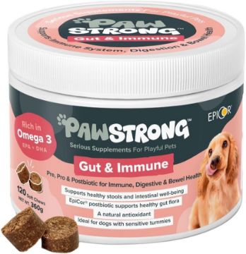 Pawstrong Gut & Immune Supplement for Dogs