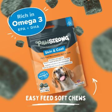 Pawstrong Skin & Coat Supplement for Dogs