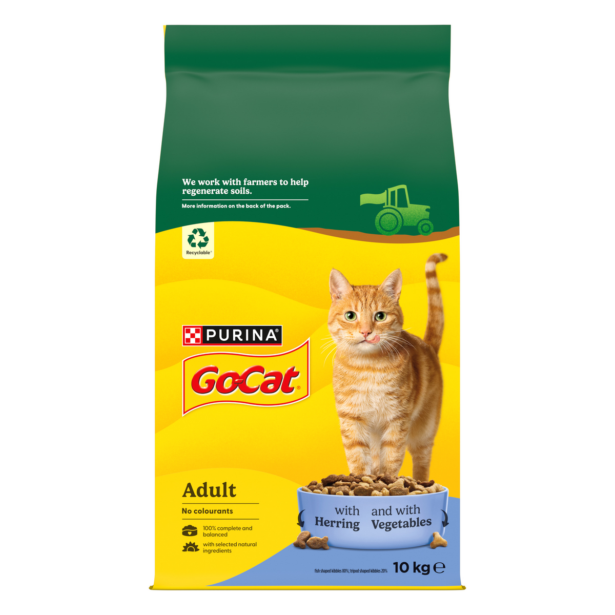 A 10 kg bag of Purina GoCat Adult cat food, featuring an orange tabby cat standing on a blue bowl of wet cat food. The packaging is yellow and green with the Purina and GoCat logos clearly visible.
