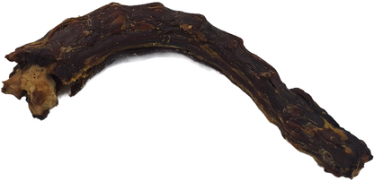 A single raw turkey neck intended as dog food.